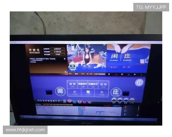 全面解析亚星百家乐的规则、策略与实战经验提升你的游戏水平